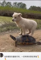 photo 2024-07-08 16-01-22