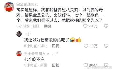 photo 2024-07-08 16-01-30