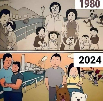 photo 2024-09-08 04-04-37